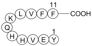 Amyloid-Peptide(10-20)(human)ͼƬ