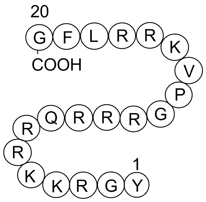 Cdk2/Cyclin Inhibitory Peptide IͼƬ