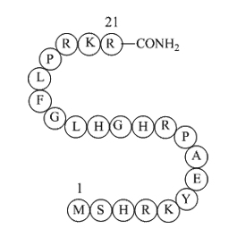 Ribosomal protein L3 peptide(202-222)amideͼƬ