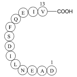 GnRH Associated Peptide(GAP)(1-13),humanͼƬ