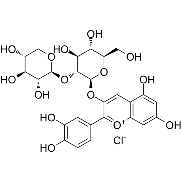 Cyanidin 3-sambubioside chlorideͼƬ