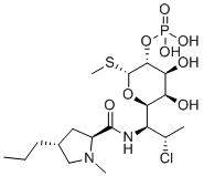 Clindamycin PhosphateͼƬ