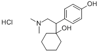 Desvenlafaxine HClͼƬ