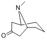 Pseudopelletierine free baseͼƬ