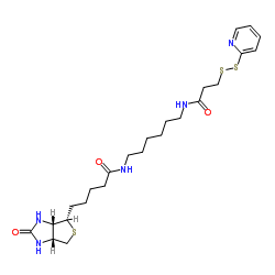 Biotin-HPDPͼƬ