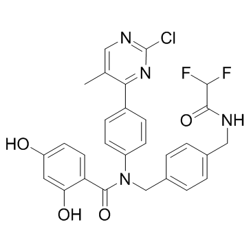 VER-246608ͼƬ