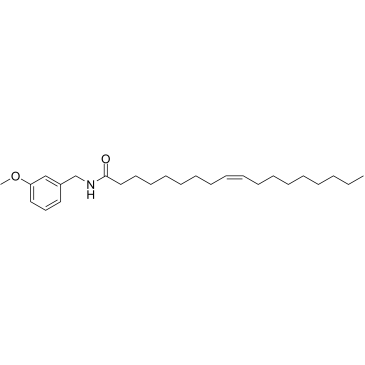 N-BenzyloleamideͼƬ