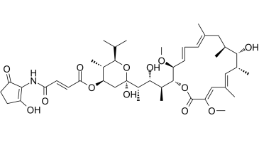 Bafilomycin B1ͼƬ