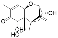 Deepoxy-deoxynivalenolͼƬ