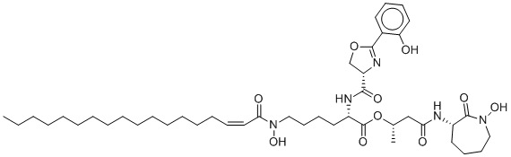 Mycobactin SͼƬ