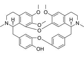 BerbamineͼƬ