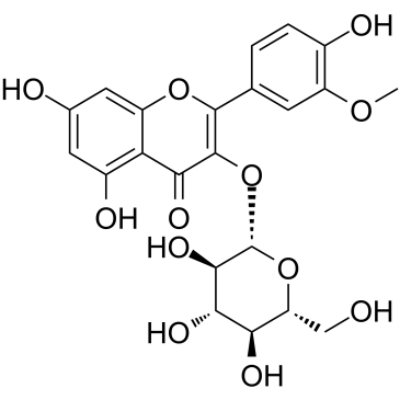 Isorhamnetin-3-O-glucosideͼƬ