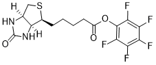 Biotin-PFP esterͼƬ