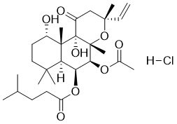 NKH477ͼƬ