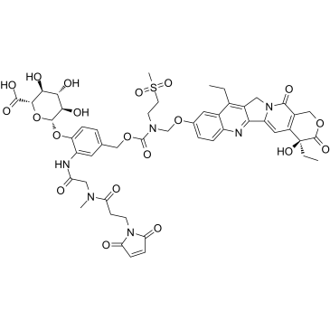 MAC glucuronide phenol-linked SN-38ͼƬ