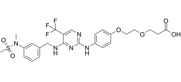 FAK ligand-Linker Conjugate 1ͼƬ