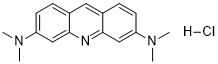 Acridine OrangeͼƬ