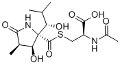 LactacystinͼƬ