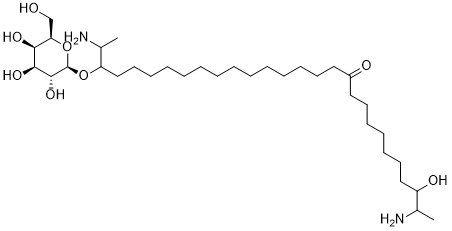 RhizochalineͼƬ