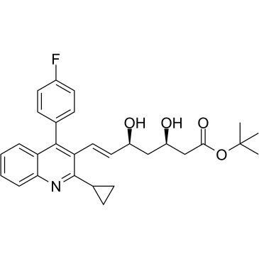 tert-Buthyl PitavastatinͼƬ