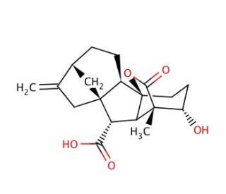 GA44(Gibberellin 44)ͼƬ