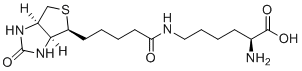 BiocytinͼƬ