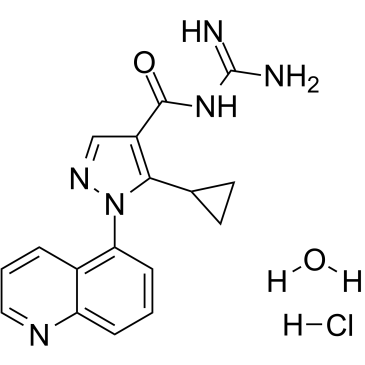 Zoniporide HCl hydrate(CP597396)ͼƬ