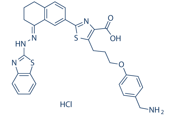 WEHI-539 hydrochlorideͼƬ