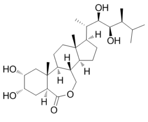 BrassinolideͼƬ