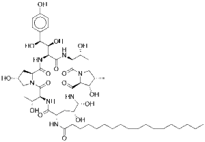 Echinocandin BͼƬ