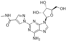 Regadenoson(CVT-3146)ͼƬ