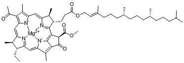 Bacteriochlorophyll aͼƬ