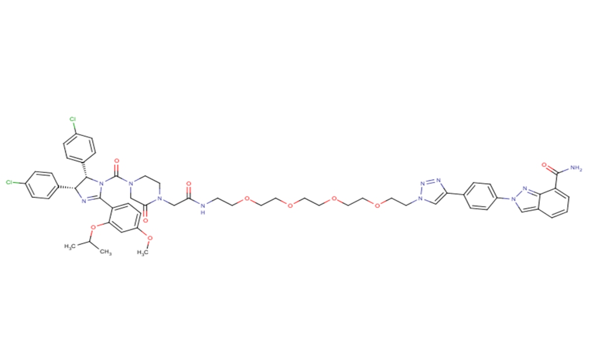 PROTAC PARP1 degraderͼƬ