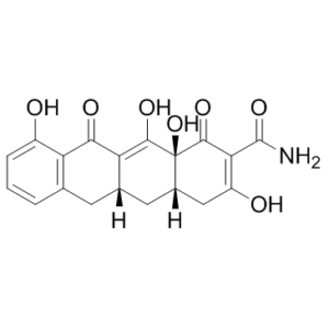 IncyclinideͼƬ