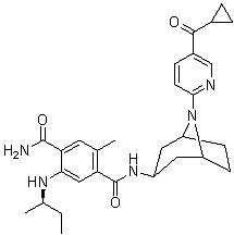 XL888ͼƬ