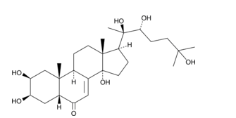 20-HydroxyecdysoneͼƬ