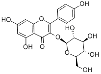 astragalinͼƬ