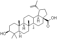 Betulinic acidͼƬ