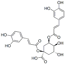 CynarinͼƬ