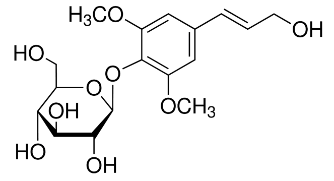 SyringinͼƬ