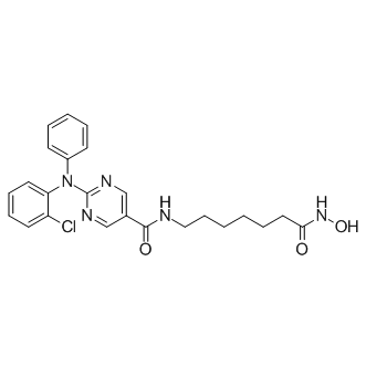 Citarinostat(ACY-241)ͼƬ