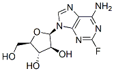 Fludarabine(Fludara)ͼƬ