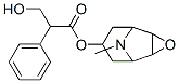 ScopolamineͼƬ