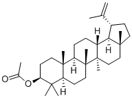 Lupeol acetateͼƬ