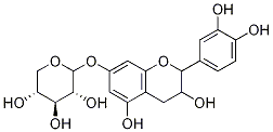 Catechin 7-O-xylosideͼƬ