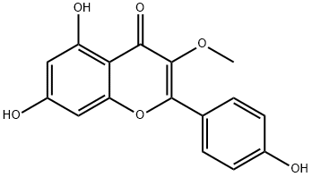 IsokaempferideͼƬ