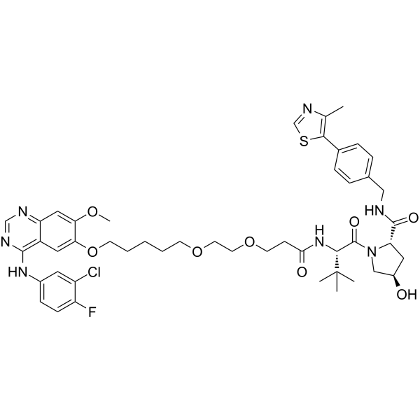 Gefitinib-based PROTAC 3ͼƬ