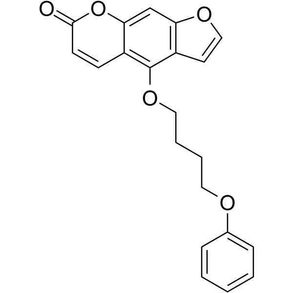 PAP-1ͼƬ