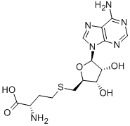 S-AdenosylhomocysteineͼƬ