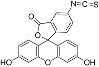 FITC isomer IͼƬ